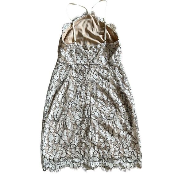 Lulu’s | Delicate Darling Beige and Ivory Lace Bodycon Dress - Picture 6 of 9